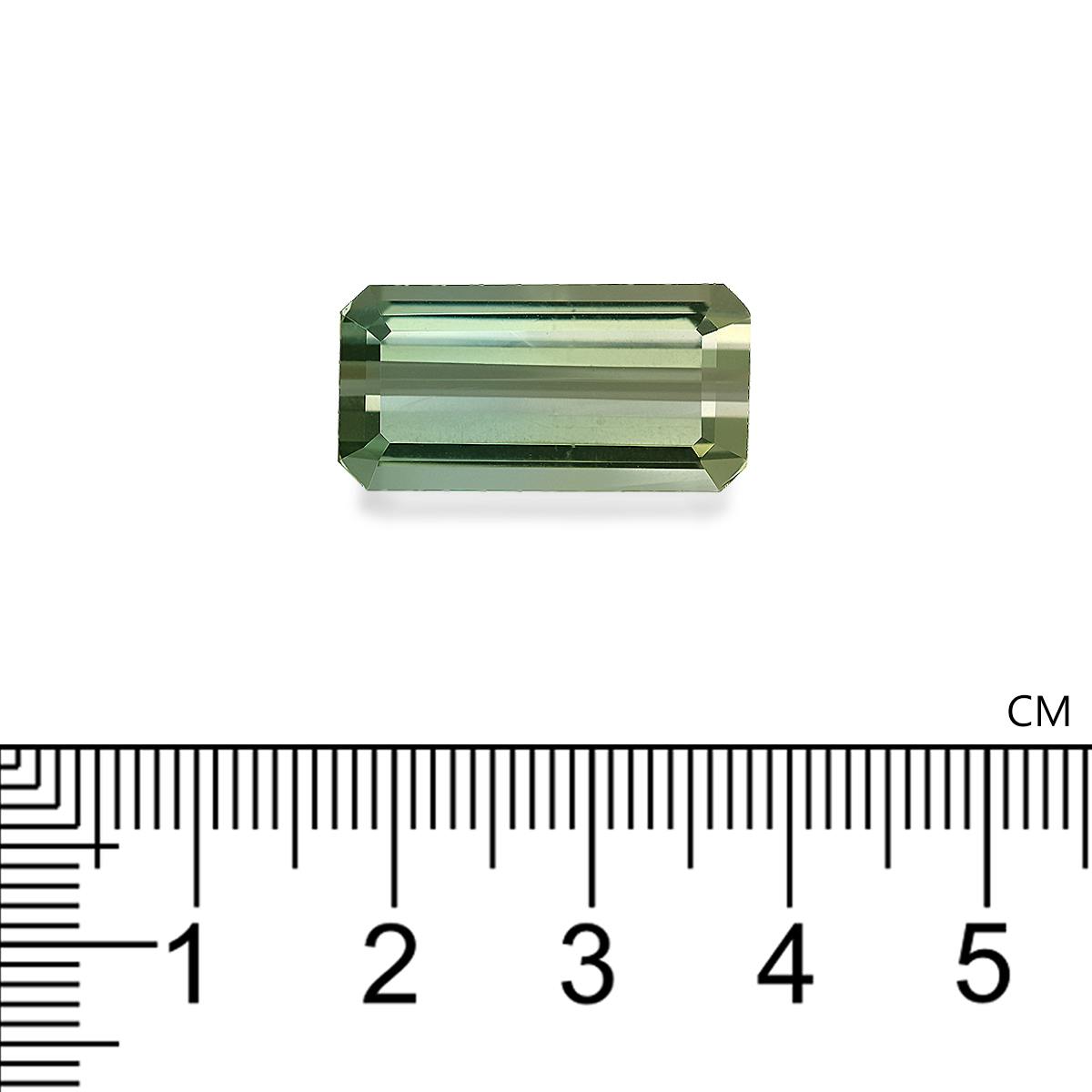 Bi Colour Tourmaline 15.48 ct